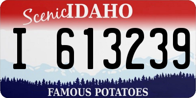 ID license plate I613239