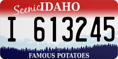 ID license plate I613245