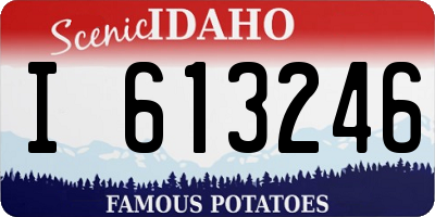 ID license plate I613246