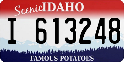 ID license plate I613248