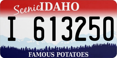 ID license plate I613250