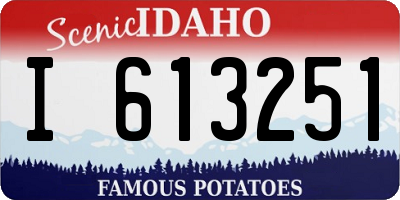 ID license plate I613251