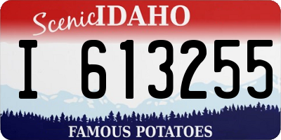 ID license plate I613255