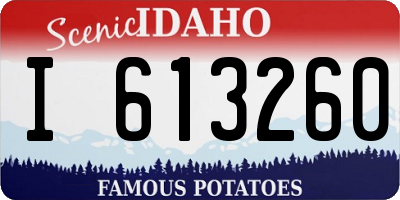 ID license plate I613260