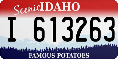 ID license plate I613263