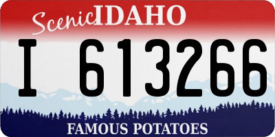 ID license plate I613266