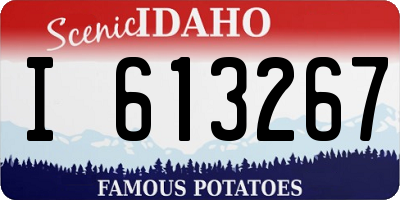ID license plate I613267