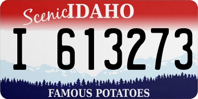 ID license plate I613273