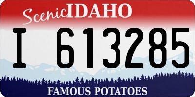 ID license plate I613285