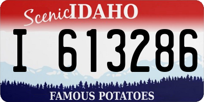 ID license plate I613286