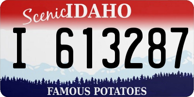 ID license plate I613287