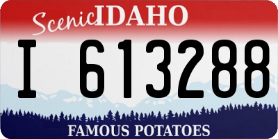 ID license plate I613288