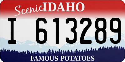 ID license plate I613289