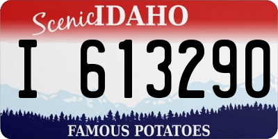 ID license plate I613290