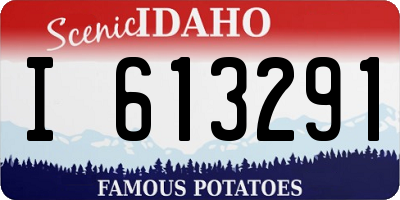 ID license plate I613291