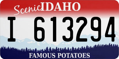 ID license plate I613294