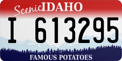 ID license plate I613295