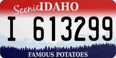 ID license plate I613299