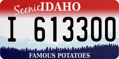 ID license plate I613300