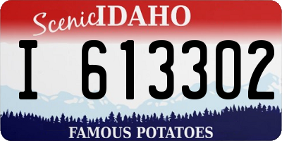 ID license plate I613302