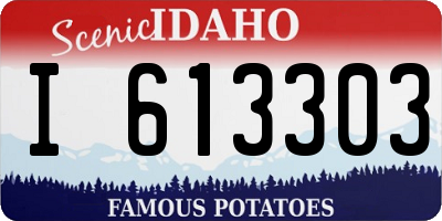 ID license plate I613303