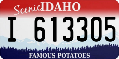 ID license plate I613305