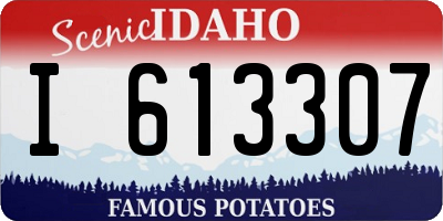 ID license plate I613307