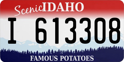 ID license plate I613308