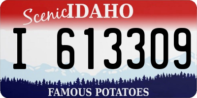 ID license plate I613309