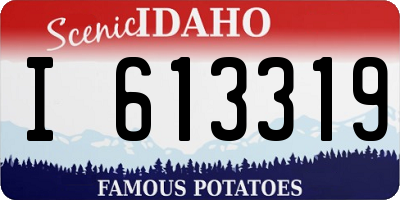 ID license plate I613319