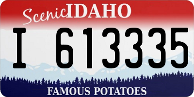 ID license plate I613335