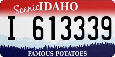 ID license plate I613339