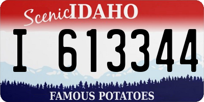 ID license plate I613344
