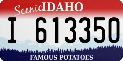 ID license plate I613350
