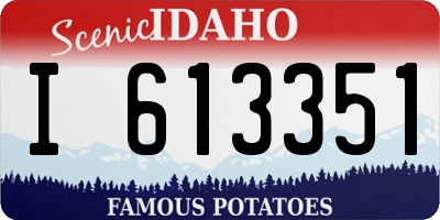 ID license plate I613351