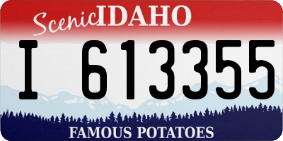 ID license plate I613355