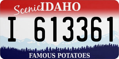 ID license plate I613361