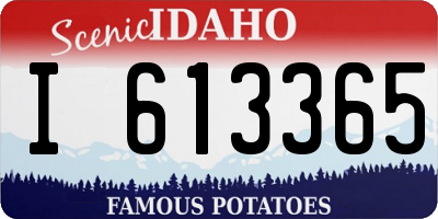 ID license plate I613365
