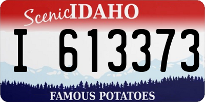 ID license plate I613373