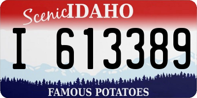 ID license plate I613389
