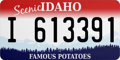 ID license plate I613391