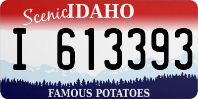 ID license plate I613393