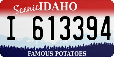 ID license plate I613394