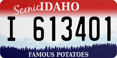 ID license plate I613401