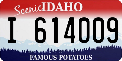ID license plate I614009