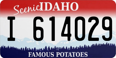 ID license plate I614029