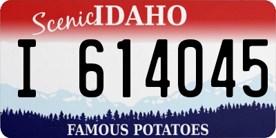 ID license plate I614045