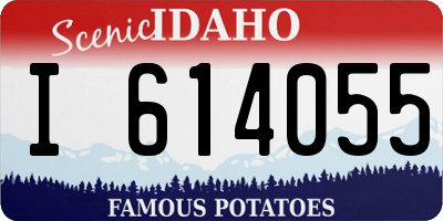 ID license plate I614055