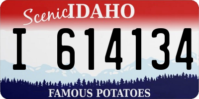 ID license plate I614134