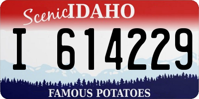 ID license plate I614229